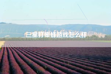 三星打蜜蜂游戏怎么样