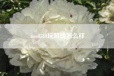 amd588玩游戏怎么样