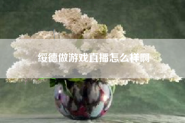 绥德做游戏直播怎么样啊