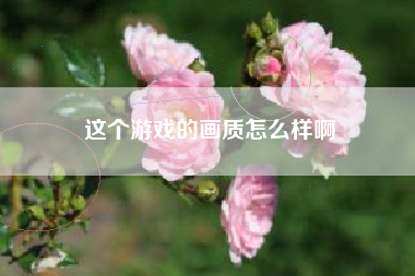 这个游戏的画质怎么样啊