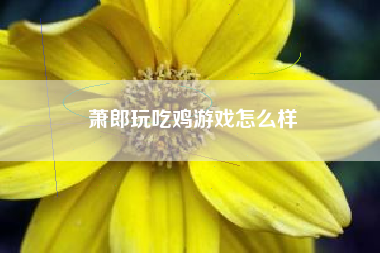 萧郎玩吃鸡游戏怎么样