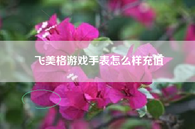 飞美格游戏手表怎么样充值