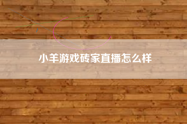 小羊游戏砖家直播怎么样
