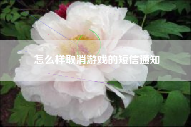 怎么样取消游戏的短信通知