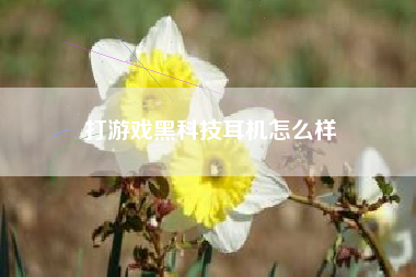 打游戏黑科技耳机怎么样