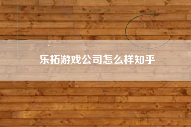 乐拓游戏公司怎么样知乎