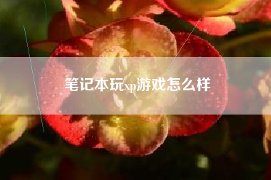 笔记本玩xp游戏怎么样