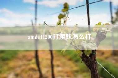 amde11200打游戏怎么样