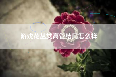 游戏花丛女高管结局怎么样
