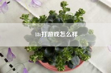 18t打游戏怎么样