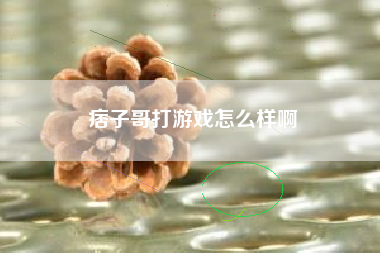 痞子哥打游戏怎么样啊