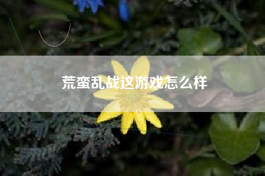 荒蛮乱战这游戏怎么样