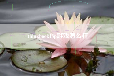 thinkbook15p游戏怎么样