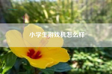 小学生游戏机怎么样