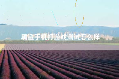 黑鲨手机打游戏测试怎么样