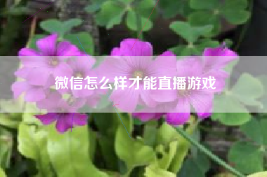 微信怎么样才能直播游戏