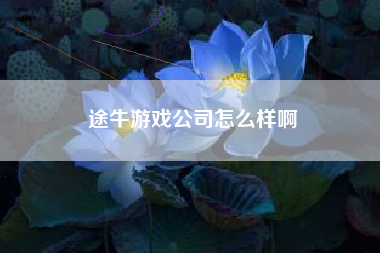 途牛游戏公司怎么样啊