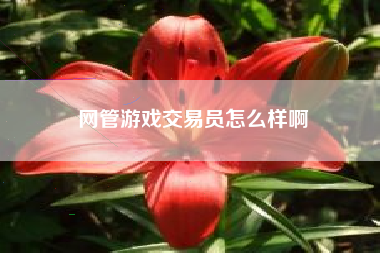 网管游戏交易员怎么样啊