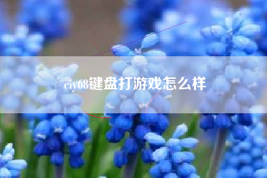 ciy68键盘打游戏怎么样