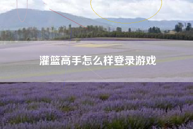 灌篮高手怎么样登录游戏