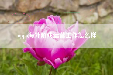 oppo海外游戏运营工作怎么样