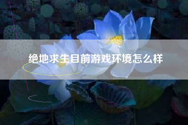 绝地求生目前游戏环境怎么样