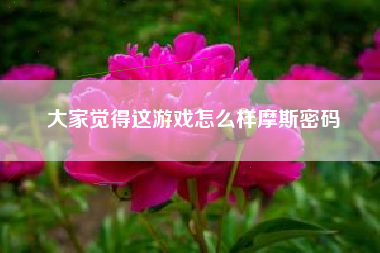 大家觉得这游戏怎么样摩斯密码