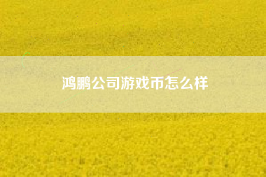 鸿鹏公司游戏币怎么样