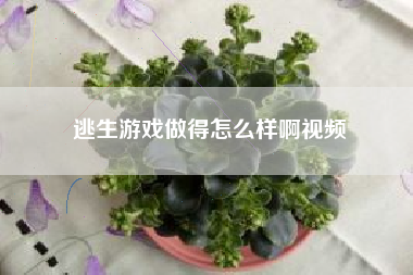 逃生游戏做得怎么样啊视频