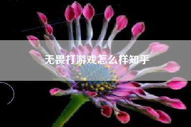 无畏打游戏怎么样知乎