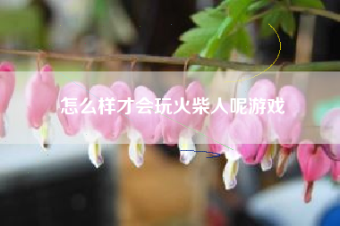 怎么样才会玩火柴人呢游戏