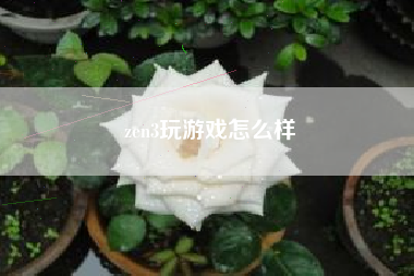 zen3玩游戏怎么样