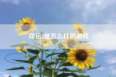 命运2是怎么样的游戏
