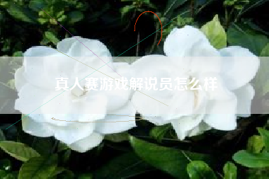 真人赛游戏解说员怎么样