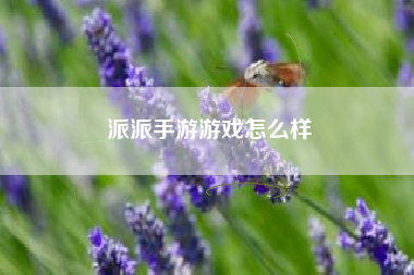 派派手游游戏怎么样