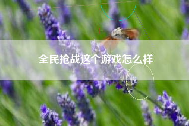 全民抢战这个游戏怎么样