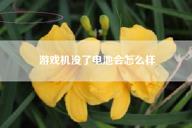 游戏机没了电池会怎么样