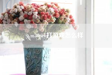 m30pro打游戏怎么样