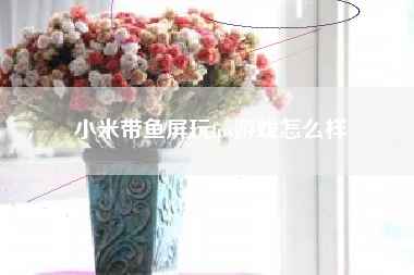 小米带鱼屏玩fps游戏怎么样