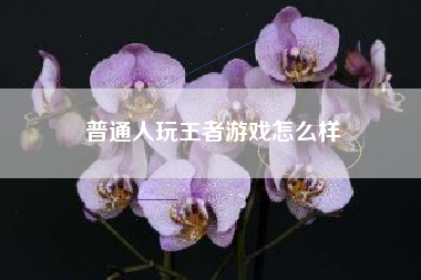 普通人玩王者游戏怎么样