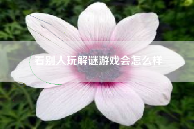 看别人玩解谜游戏会怎么样