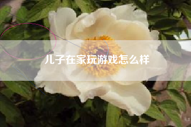 儿子在家玩游戏怎么样