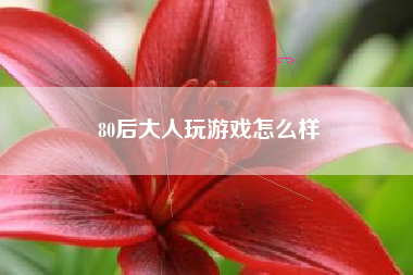 80后大人玩游戏怎么样