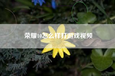 荣耀10怎么样打游戏视频