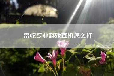 雷蛇专业游戏耳机怎么样